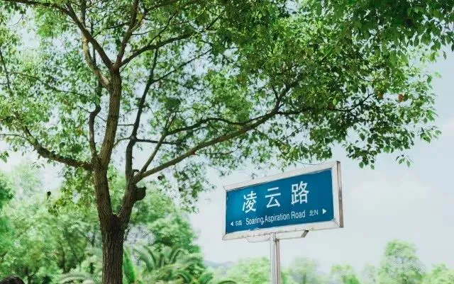 如何根据体型制定个性化的篮球训练方案_1